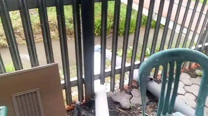 Investigasi Budidaya Udang Dana BUMDes Lemah Kembar: IPAL Tak Berfungsi, Lingkungan Terancam