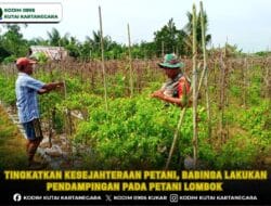 Tingkatkan Kesejahteraan Petani, Babinsa Lakukan Pendampingan pada Petani Lombok