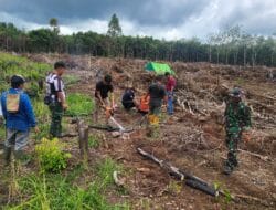Anggota Satgas TMMD Wiltas Ke-127 Kodim 0912/Kubar Gotong Royong Bantu Warga Cari Kayu Bakar Untuk Syukuran