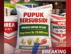 Permainan Pupuk Bersubsidi Terbongkar di Tirtoyudo, Harga Melambung, Diduga Ada Pembiaran