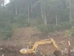 Skandal PETI Rotan Hill! Komisaris PT Berlian Gemilau Emas Defry Kurua Alias Ello Disorot – Kapolres Mitra Didesak Bertindak