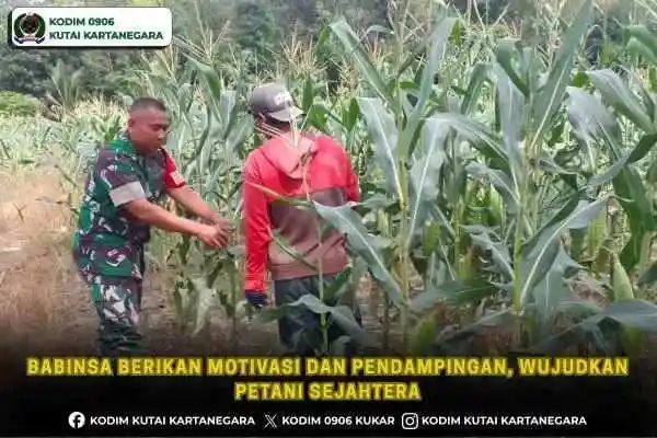 Babinsa Berikan Motivasi dan Pendampingan, Wujudkan Petani Sejahtera