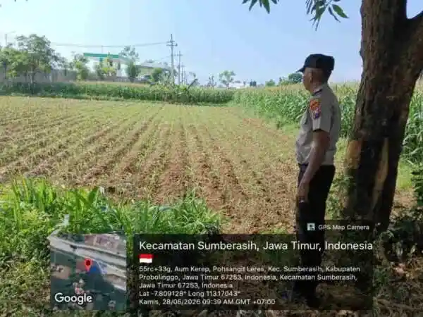 Polisi Turun ke Sawah Dampingi Petani Jagung di Probolinggo Kota, Perkuat Program Ketahanan Pangan Nasional