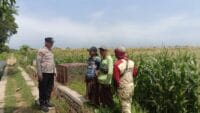 Polres Probolinggo Kota Gerakkan Pendampingan Petani, Ketahanan Pangan Makin Kokoh