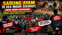 Sabung Ayam di Sea Moor Disorot, Awak Media Diduga Dihadang — Dugaan Perjudian dan Keterlibatan Oknum Aparat Diminta Diusut.
