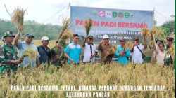 Panen Padi Bersama Petani, Babinsa Perkuat Dukungan Terhadap Ketahanan Pangan