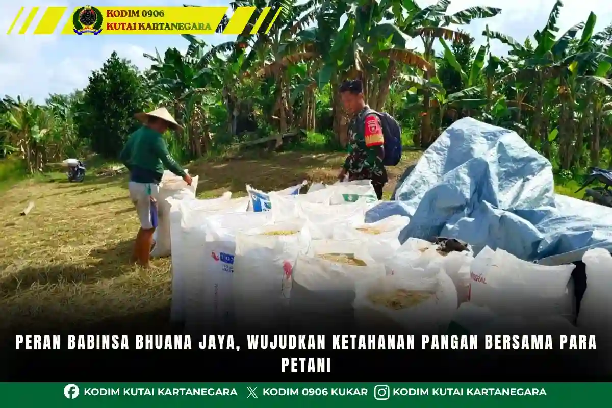 Peran Babinsa Bhuana Jaya, Wujudkan Ketahanan Pangan Bersama Para Petani